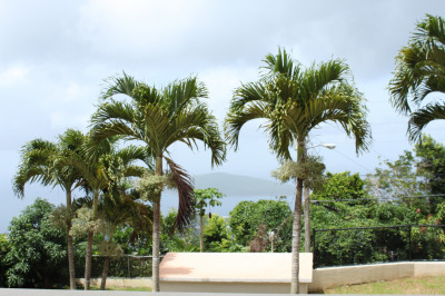 11-d-6 Lerkenlund Gns 1