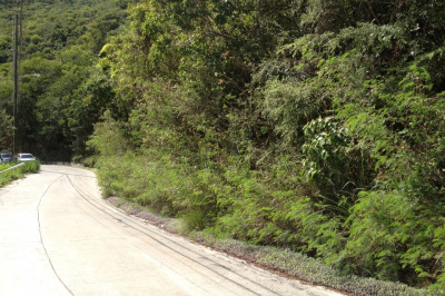 1a-3-1a Solberg Lns 1