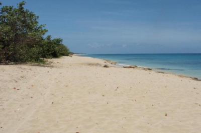 C100 Smithfield We 1