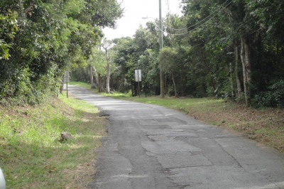 2ba & 2bb Crown & Hawk Ss 1