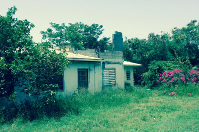 95k Whim (two Will) We 1