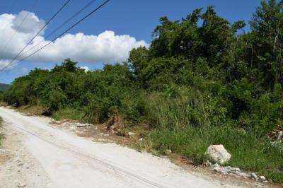 82 & 83 Carlton We 1