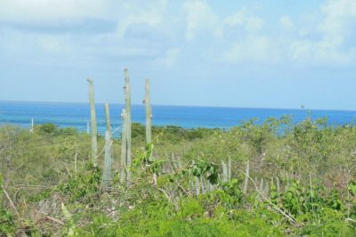 58-d Cotton Valley Eb 1