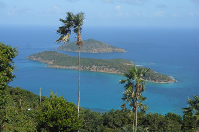 1a-9-23 Dorothea Lns 1