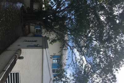 8-56-3 Nazareth Rh 1