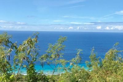 83i & J Belvedere Nb 1