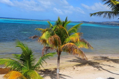 202 Golden Rock Co 1