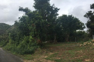 18ba Montpellier Qu 1