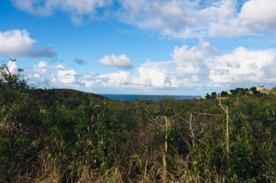 70 Catherine's Hope Eb 1