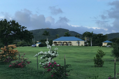 Rem 25, Et Carlton We 1