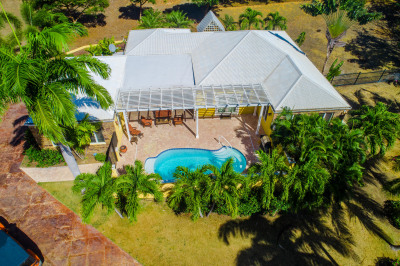 136 Anna's Hope Ea 1