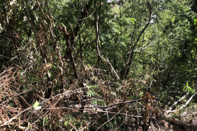 17-45 Est. Frenchman Bay Fb 1