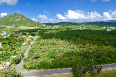 12 And 13 Mon Bijou Ki 1