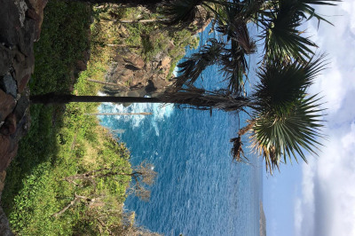 10-1-41 Peterborg Gns 1