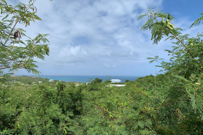 182 Cotton Valley Eb 1