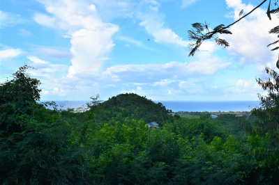 231 Little La Grange We 1