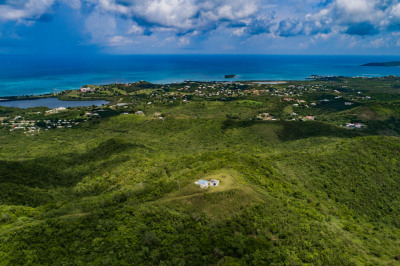 23b & 24 Carina Ea 1