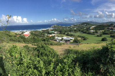 125 Judith's Fancy Qu 1