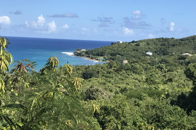 2-a-1 North Star Nb 1