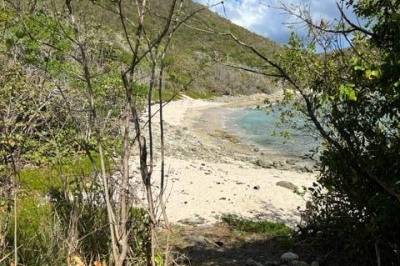 4-60 Tabor & Harmony Ee 1