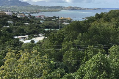 49 Eliza's Retreat Ea 1