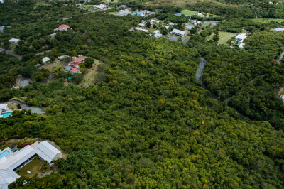 62 Beeston Hill Co 1