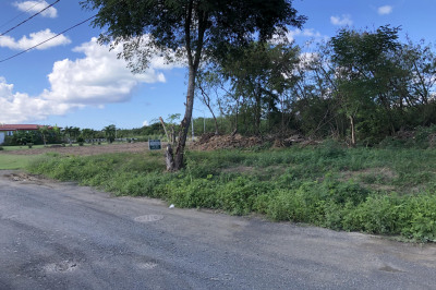 323 Enfield Green Pr 1