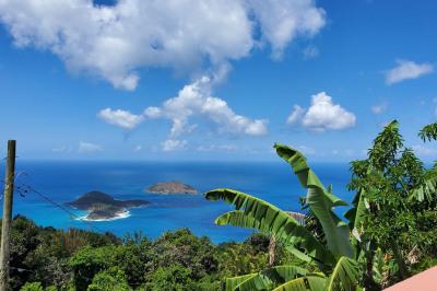 3e-2 St. Peter Lns 1