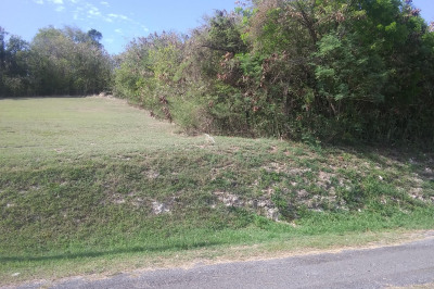 327 Mary's Fancy Qu 1