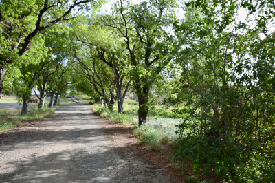 4 & 5 Orange Grove Co 1