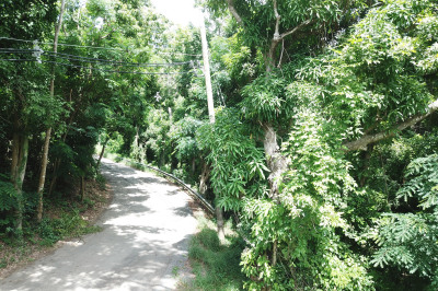 33 Orange Grove We 1