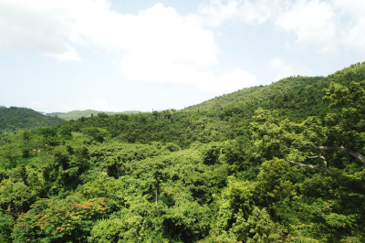 28aab Beck's Grove We 1