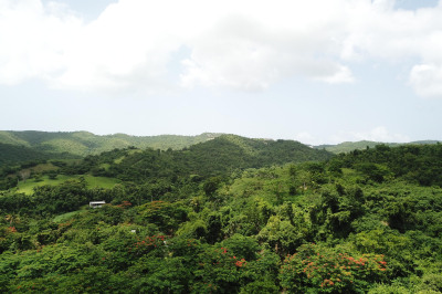 Matr. 29a Brooks Hill We 1