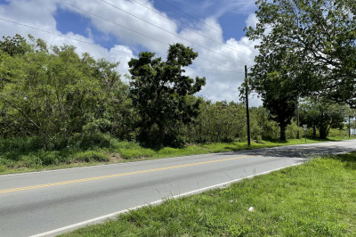 17-a Hogensberg Pr 1