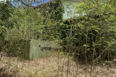 5a & 6a Concordia Qu 1