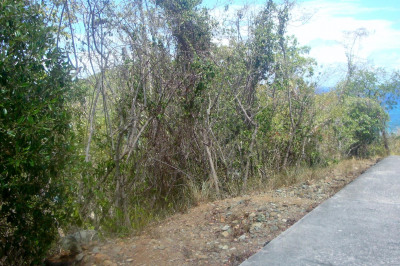 15a-8-b-6 Rendezvous & Ditleff 1