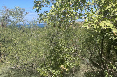 66 Catherine's Hope Eb 1