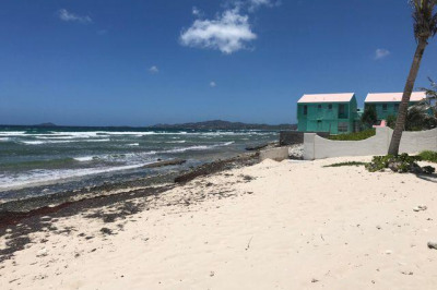 101 La Grande Princesse Co 1