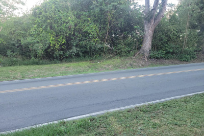 Rem 8 Mt. Pleasant Pr 1