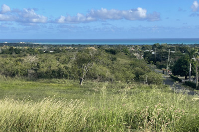 14a Whim (two Will) We 1