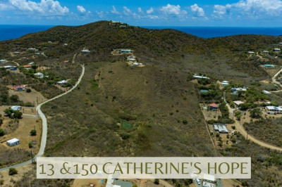 13 & 150 Catherine's Hope Eb 1