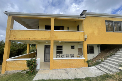 47 Lower Colquohoun Ki 1