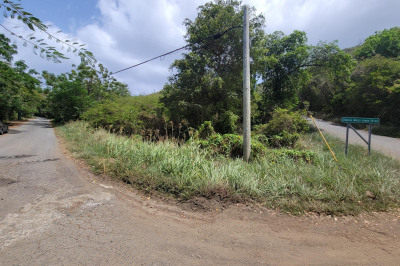 4-2-23 Rem Fortuna We 1