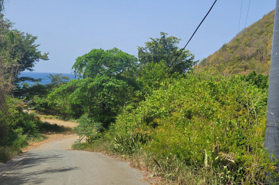 4-2-23-4 Fortuna We 1