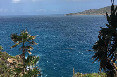 10-1-41 Peterborg Gns 1