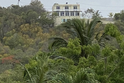 28 Fehbdb Rattan Qu 1