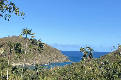 4 Tabor & Harmony Ee 1