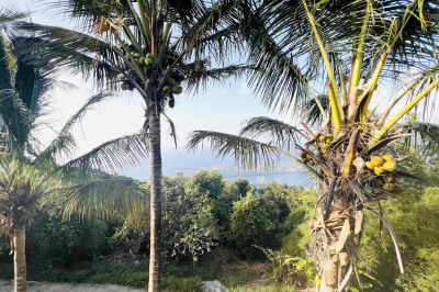 9a2 Lerkenlund Gns 1