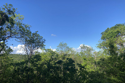 12 Little Fountain Ki 1