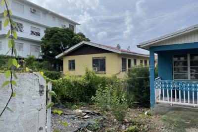 3 Tulipan Kronprindsens Gade Kps 1